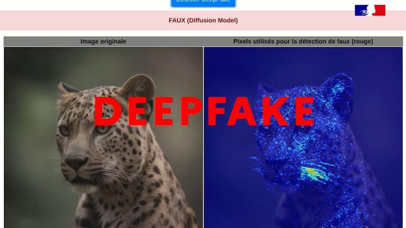 Image chargée dans l'outil de détection de deepfake