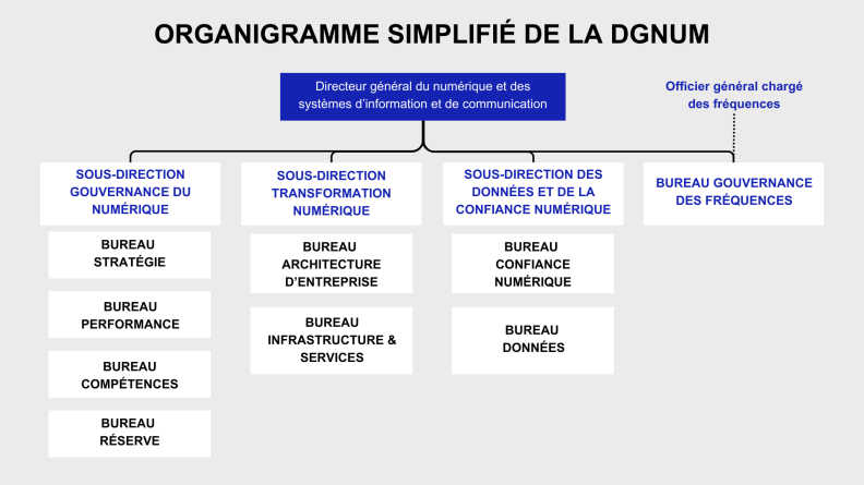 Organigramme simplifié