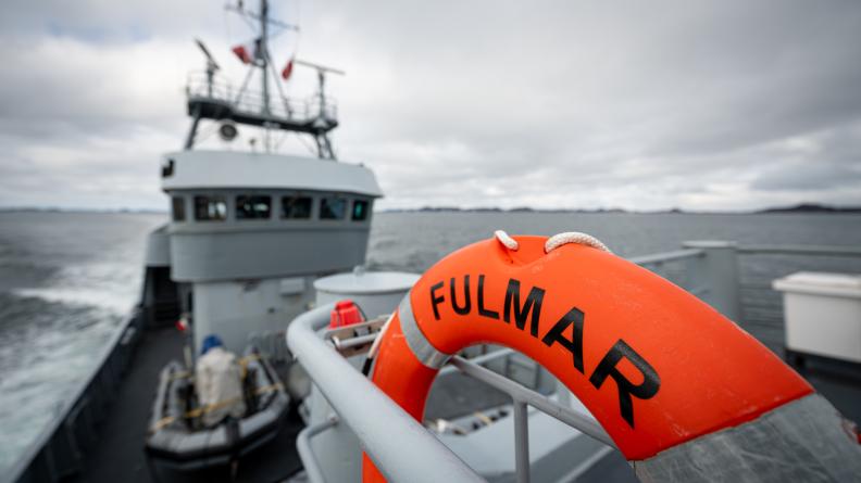Le Fulmar