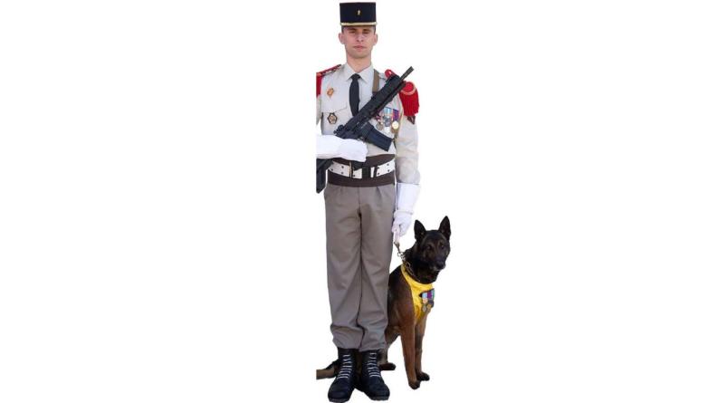 Uniforme du 132e régiment d’infanterie cynotechnique.