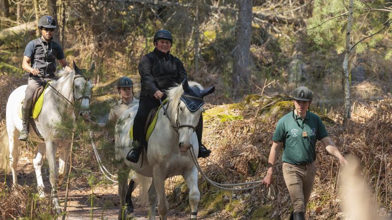 Les participants au stage d’équitation adaptée, accompagnés de leurs aidants, à Fontainebleau.