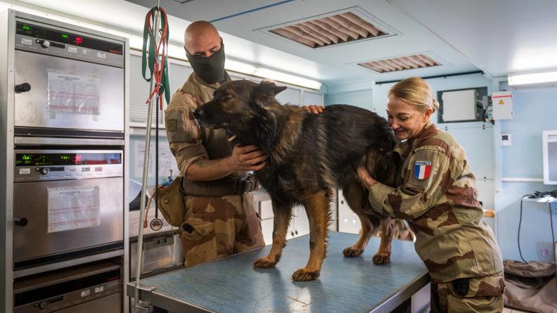 Le colonel Florence, vétérinaire en chef de la plateforme opérationnelle désert de Gao