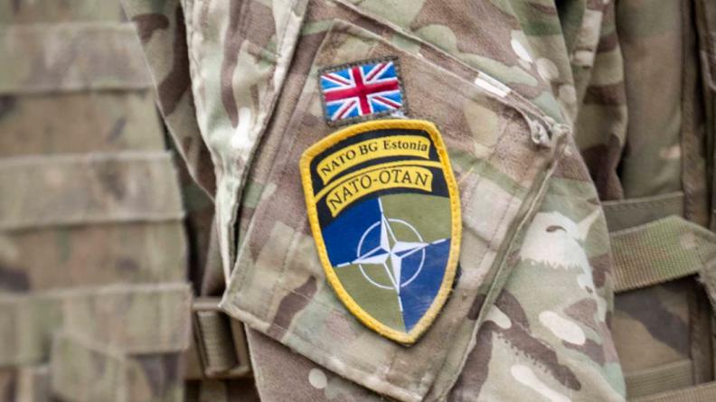 Bataillon multinational de l’OTAN en Estonie – Exercice interallié BOLD EAGLE