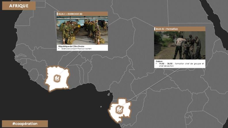 Point de situation des opérations zone Afrique