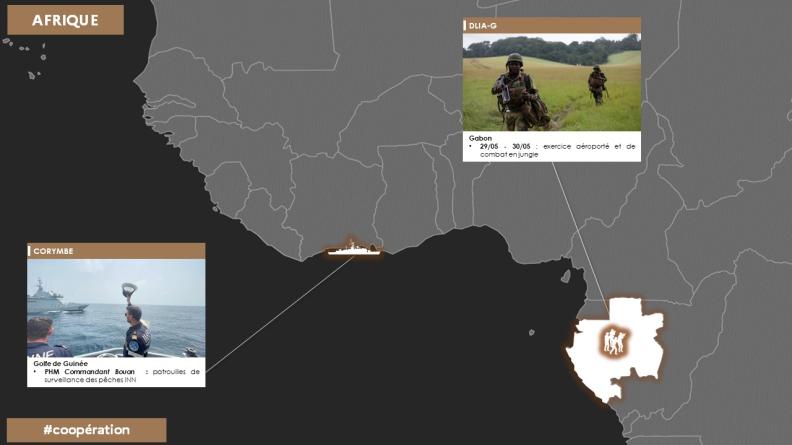 Point de situation des opérations zone Afrique