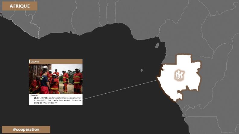 Point de situation des opérations zone Afrique
