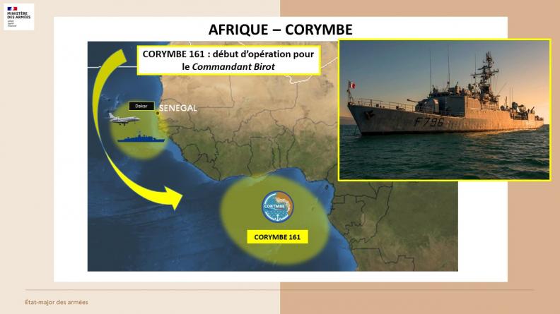 AFRIQUE - CORYMBE