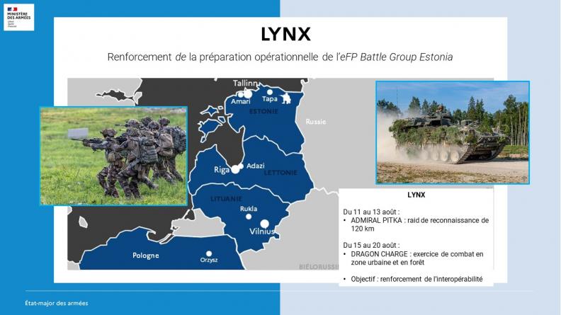 LYNX 
