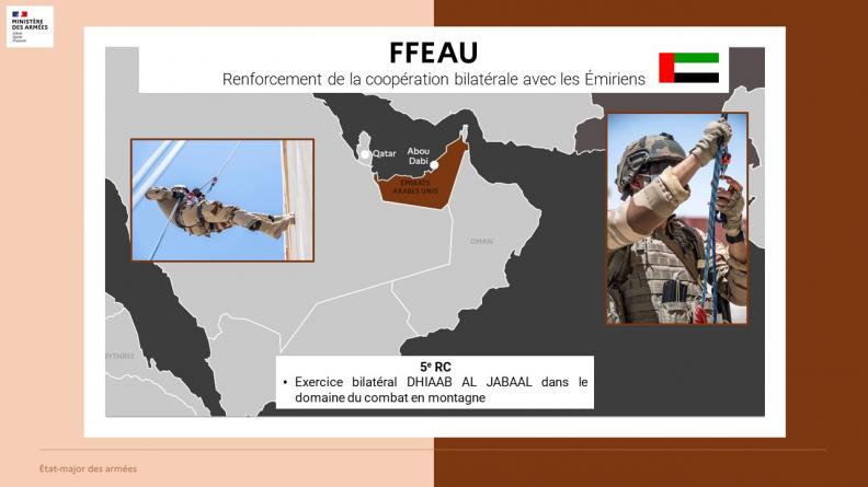 Renforcement de la coopération bilatérale avec les émiriens