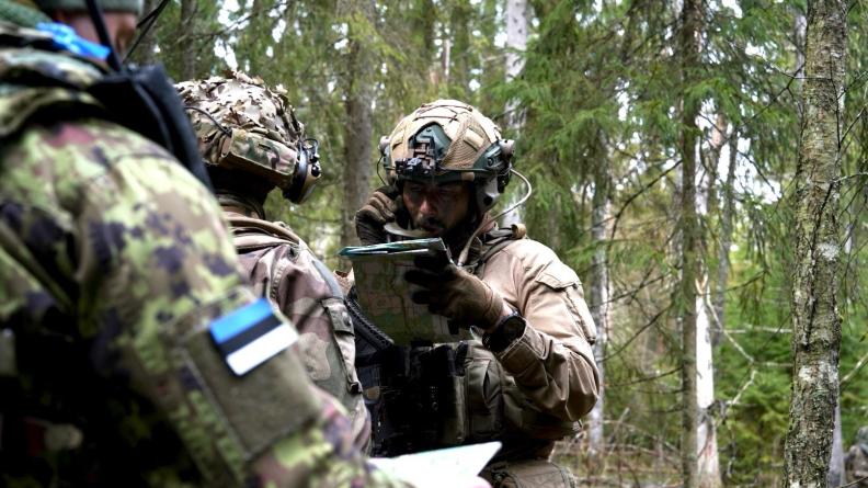 Exercice d’intégration BOLD BUGLE