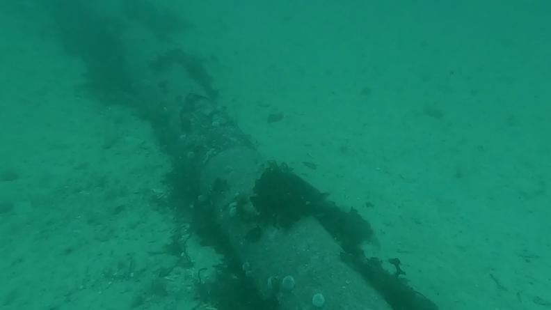 Le CMT Céphée participe aux activités du groupe OTAN de guerre des mines