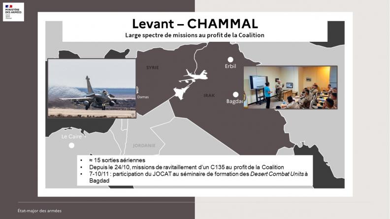 Large spectre de missions au profit de la Coalition