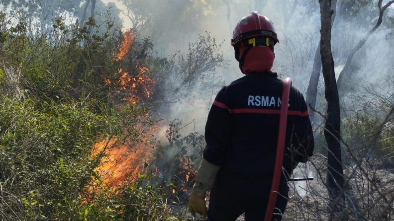 FANC – RSMA-NC – Feux de forêt en Nouvelle-Calédonie