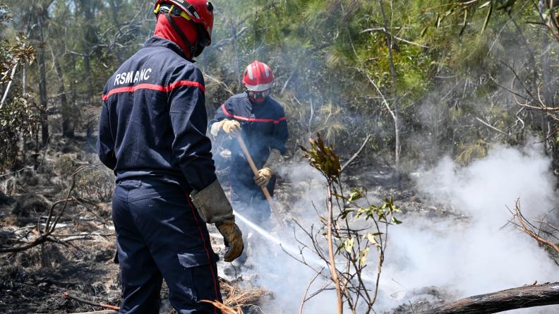 Intervention du RSMA-NC sur des feux de forêt en Nouvelle-Calédonie