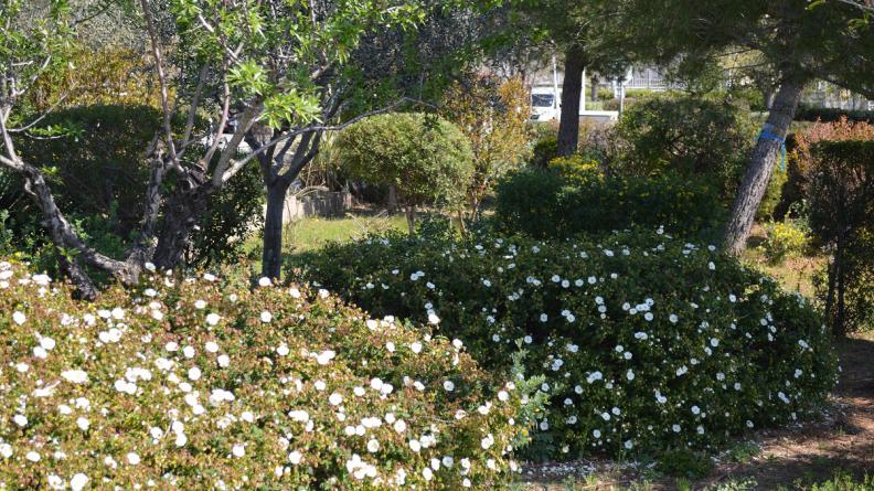 Les jardins de l'HIA Sainte-Anne