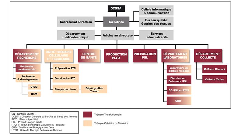 Organigramme CTSA