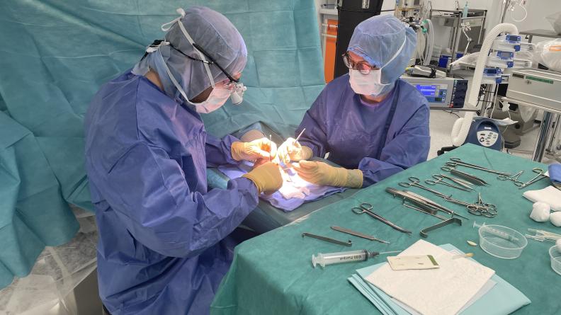 «Cette infrastructure opératoire a tout d’un hôpital.Seul le roulis rappelle que nous sommes en mer»
