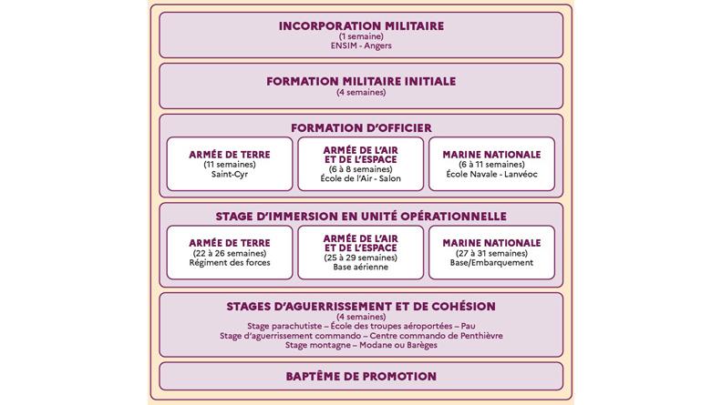 Formation