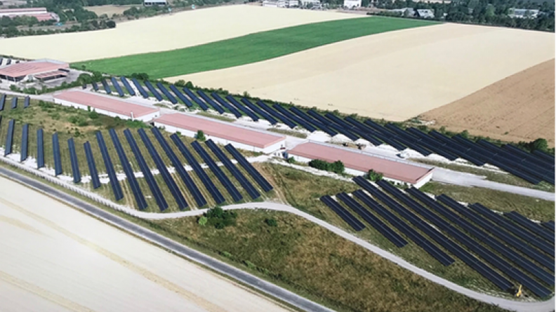 Projet Quandran sur la zone Hawk