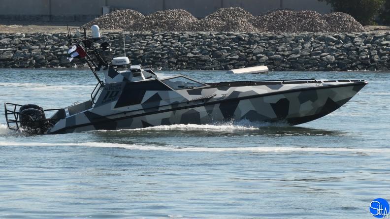 Unmanned Surface Vehicle