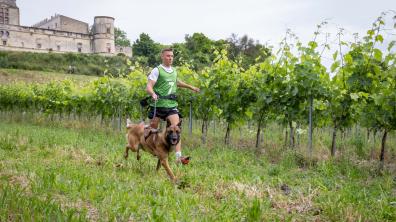 La course met en avant le travail et le lien fort entre maître et chien.