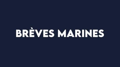 Brèves marines.jpg