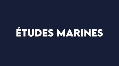 Etudes marines.jpg
