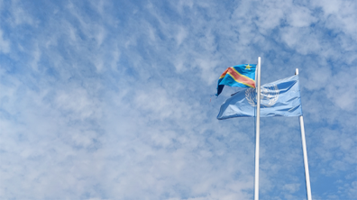 Organisation des Nations Unies