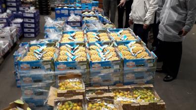 Visite du marché international de Rungis