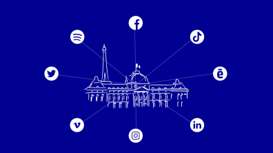 Affiche DEMS réseaux sociaux