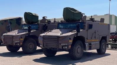 Les deux Serval