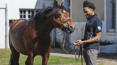 À l’École militaire d’équitation, un stagiaire découvre le cheval.