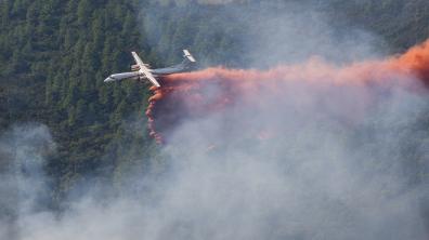 Avion de la sécurité civile 