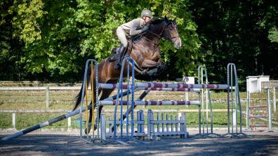 Le 23e championnat du monde militaire d’équitation se déroule les 5, 6 et 8 octobre à Fontainebleau