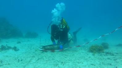 Double opération de déminage dans le lagon de Nouméa