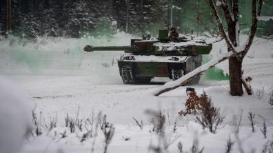 Exercice d’intégration BOLD DRAGOON