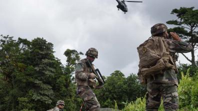 Exercice BALBUZARD : les FAA et les FAG renforcent leur l’interopérabilité