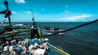 Opération Mokarran : lutte contre la pêche illégale en Guyane