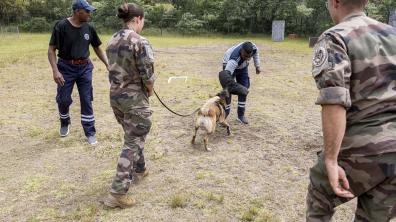 FAZSOI - Entraînement cynotechnique pour la Mauritius Police Force  