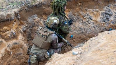 Exercice d’intégration BOLD BUGLE