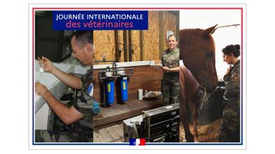 30 avril : Journée mondiale des vétérinaires