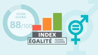 Index égalité professionnelle F/H du ministère des Armées