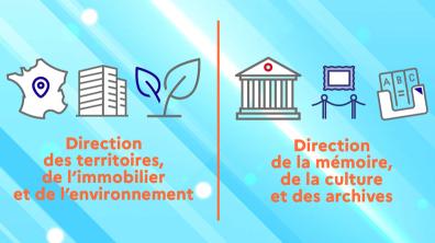 DTIE et DMCA