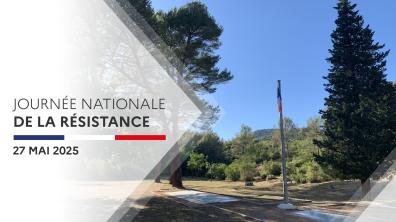 Nécropole nationale de Signes (Var)