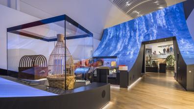 Le nouveau musée de la Marine