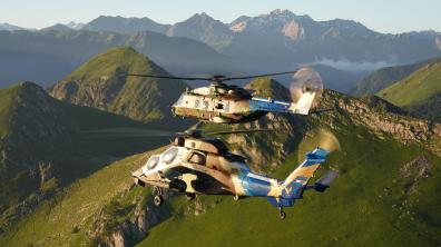 Tigre et Caïman dans les pyrénées à l'occasion des 70 ans de l'ALAT