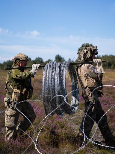 Lettonie - Exercice VERBOOM
